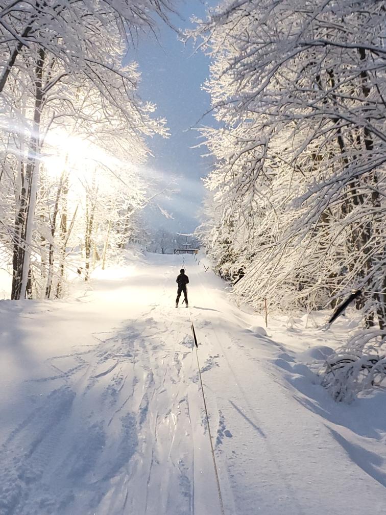 person skiing through snow frosted trees