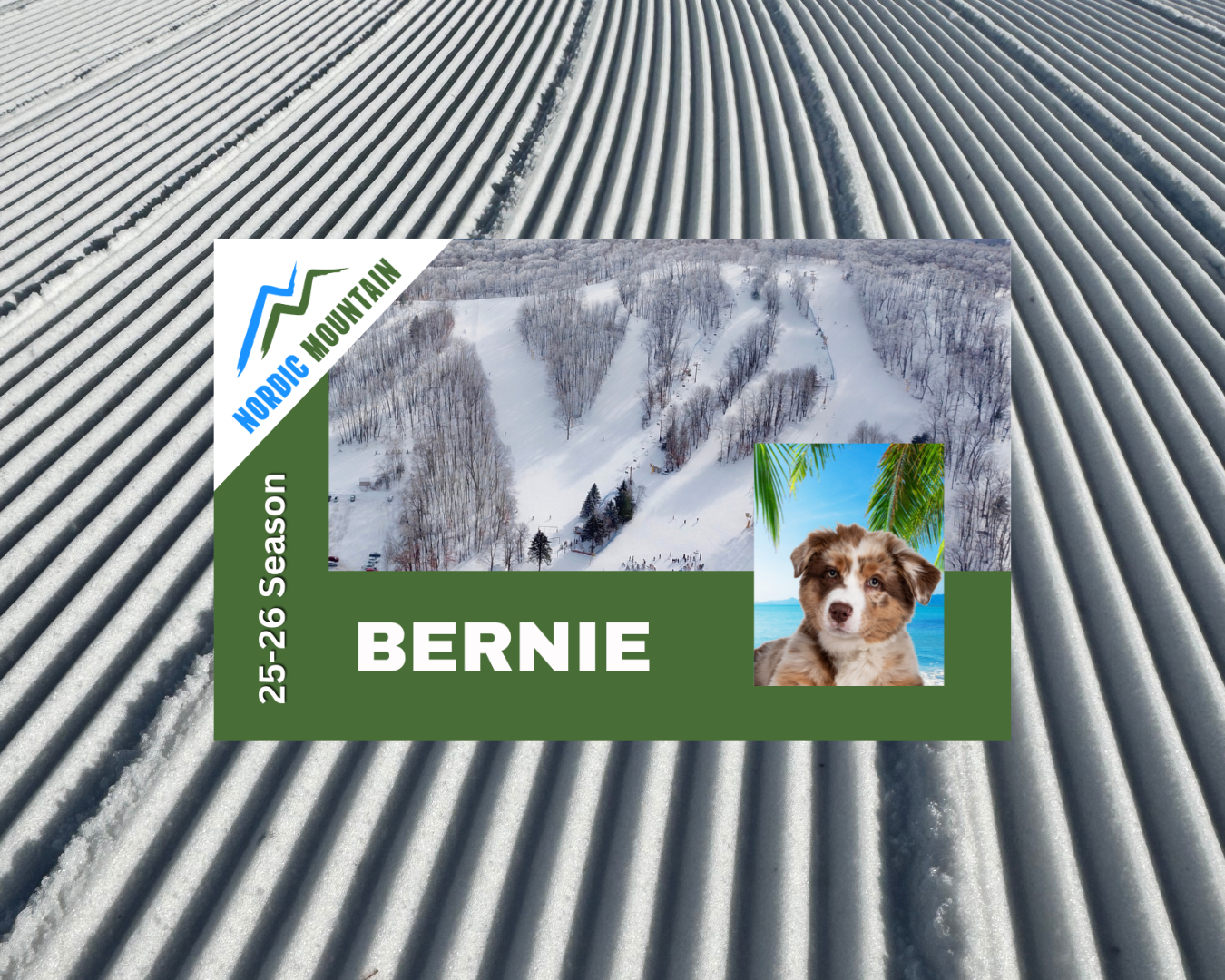 individual pass