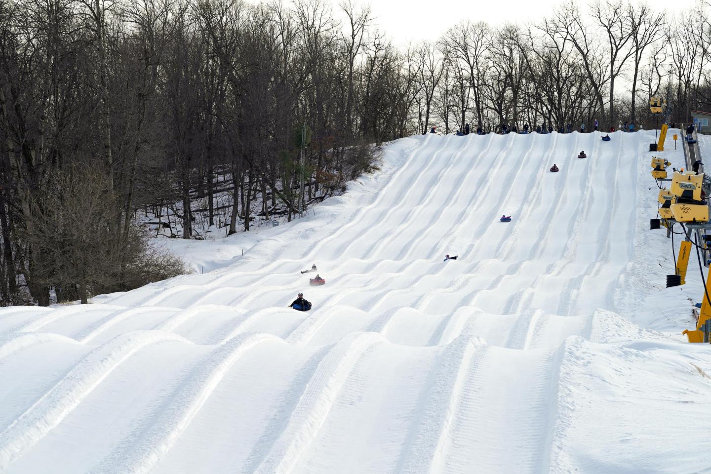 Snowy hill with multiple sledding lanes, surrounded by bare trees.