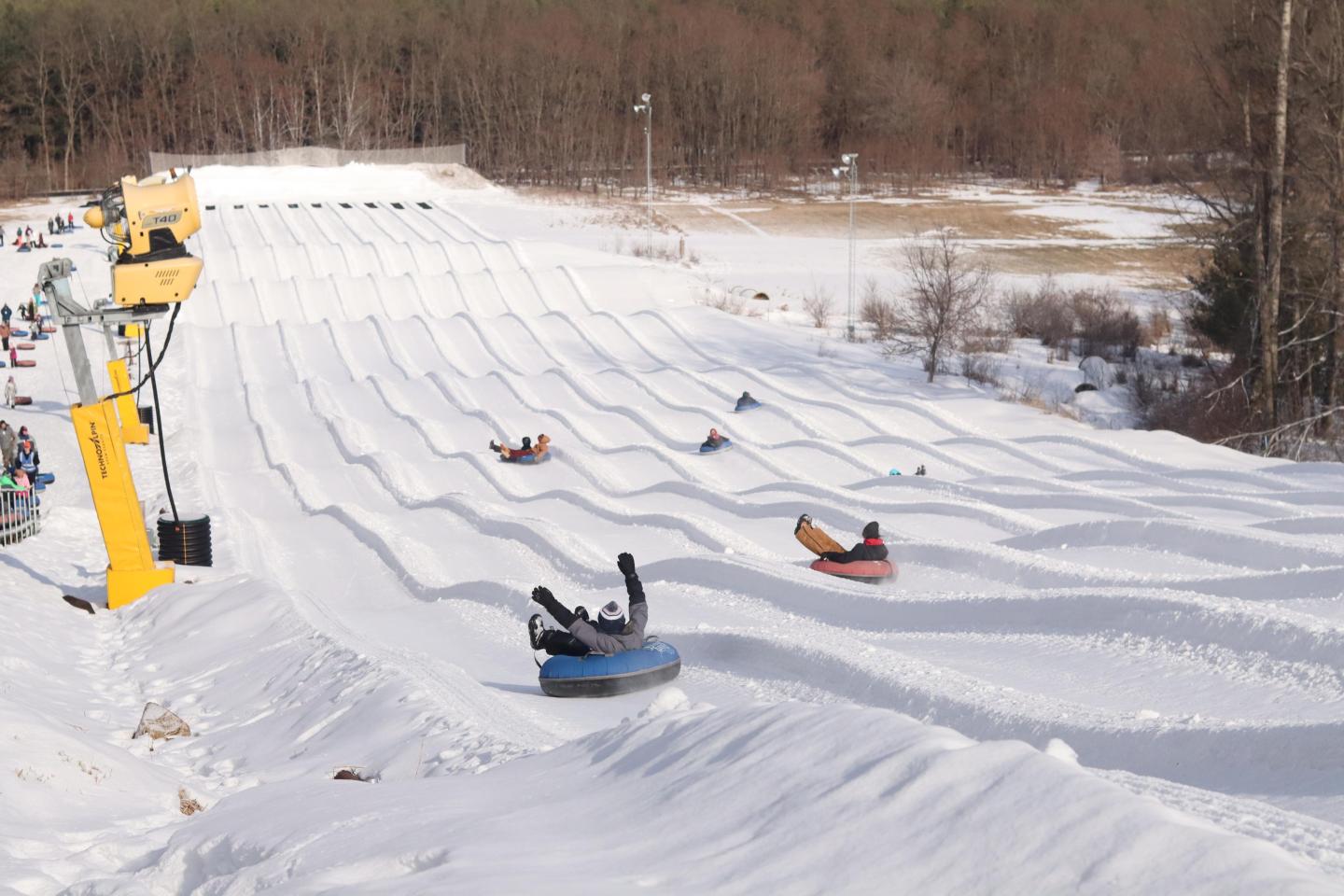 Snow tubing hills with people sliding down in tubes, surrounded by trees.
