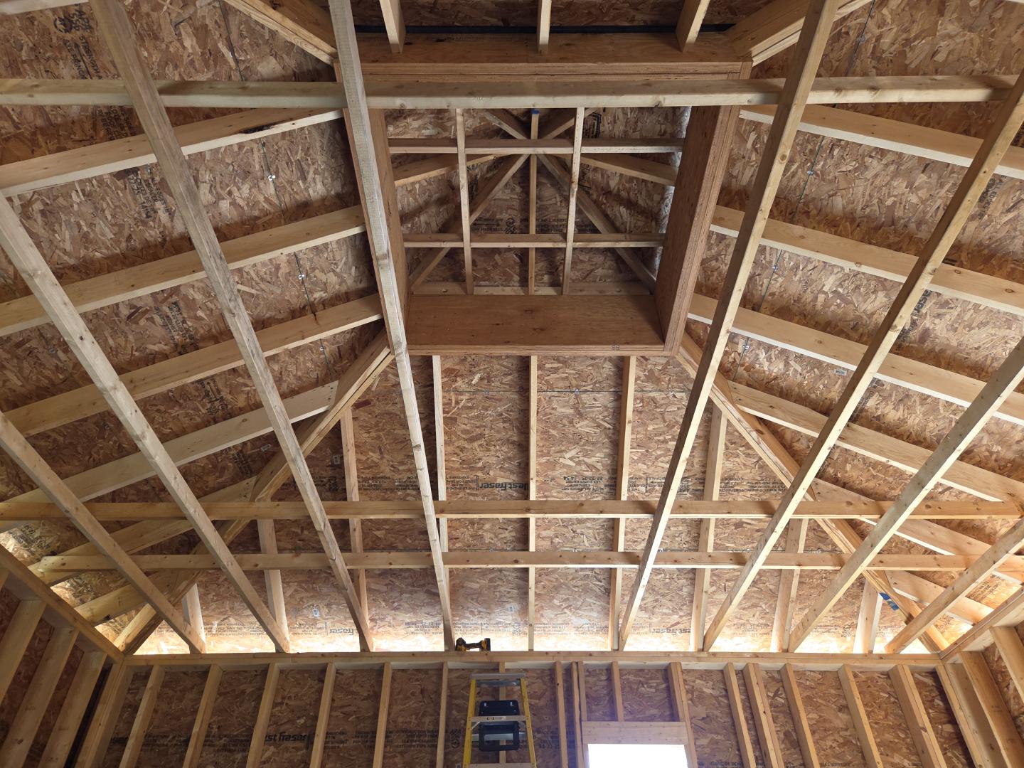 Exposed wooden roof framing with rafters and beams in an unfinished attic.