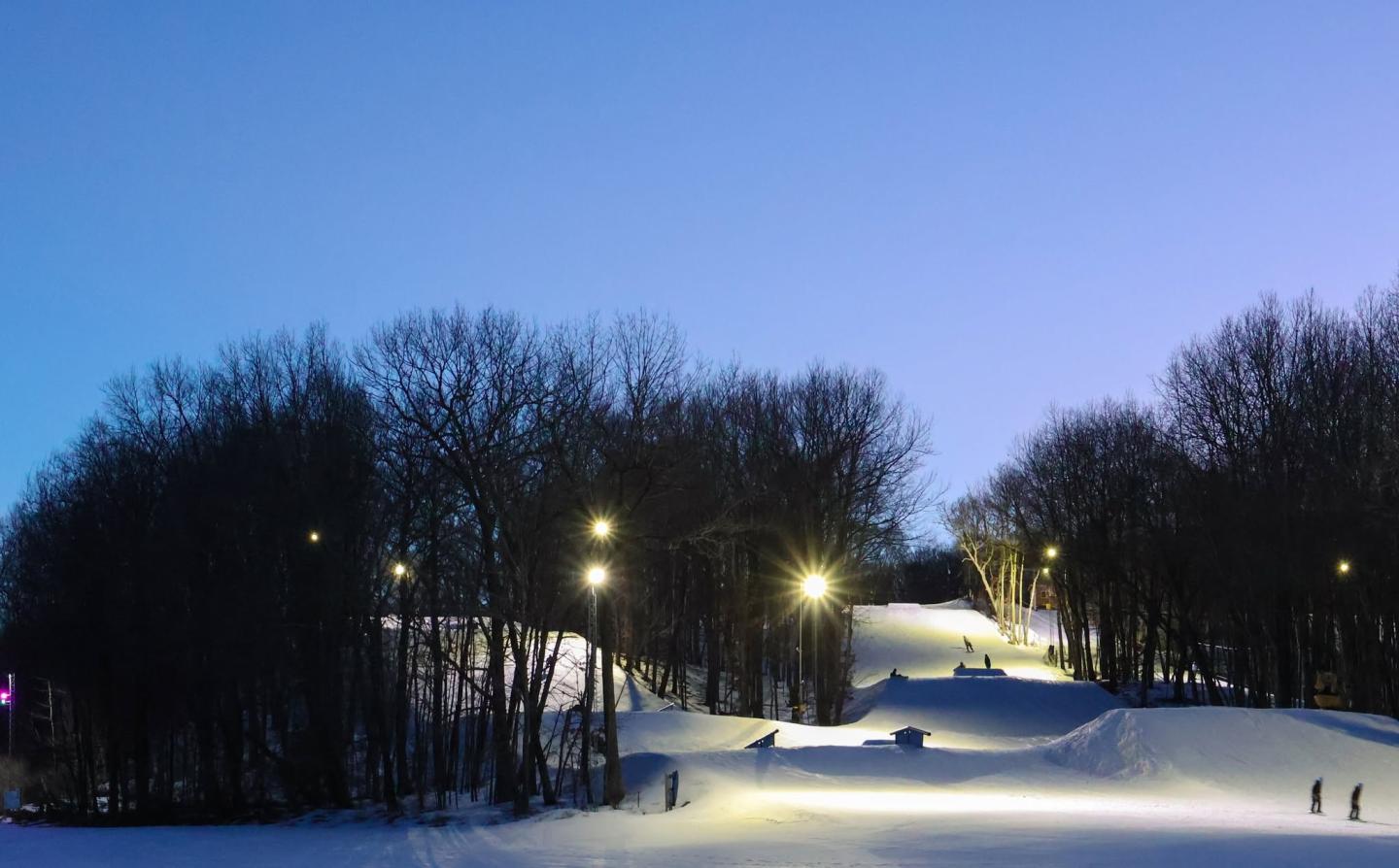 Snow-covered path through leafless trees at dusk, lit by streetlamps.